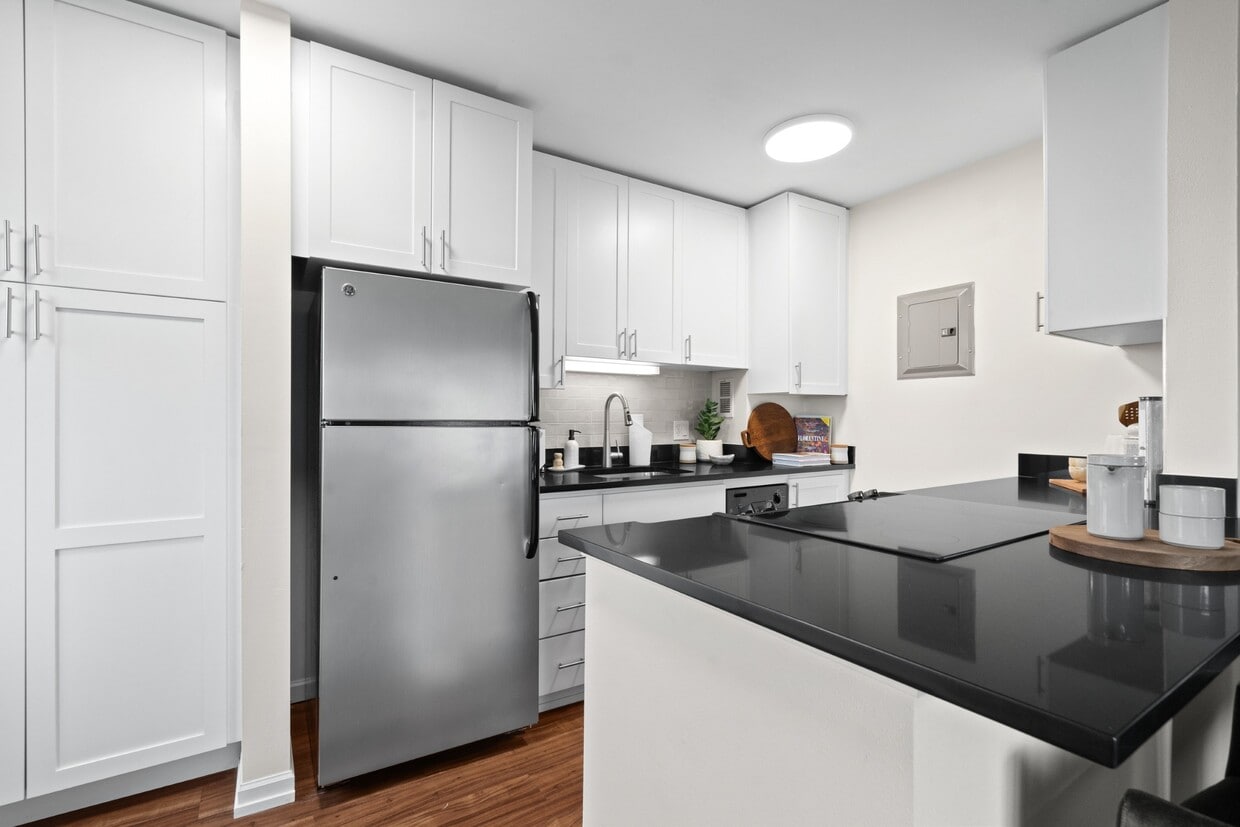 Modern Kitchen