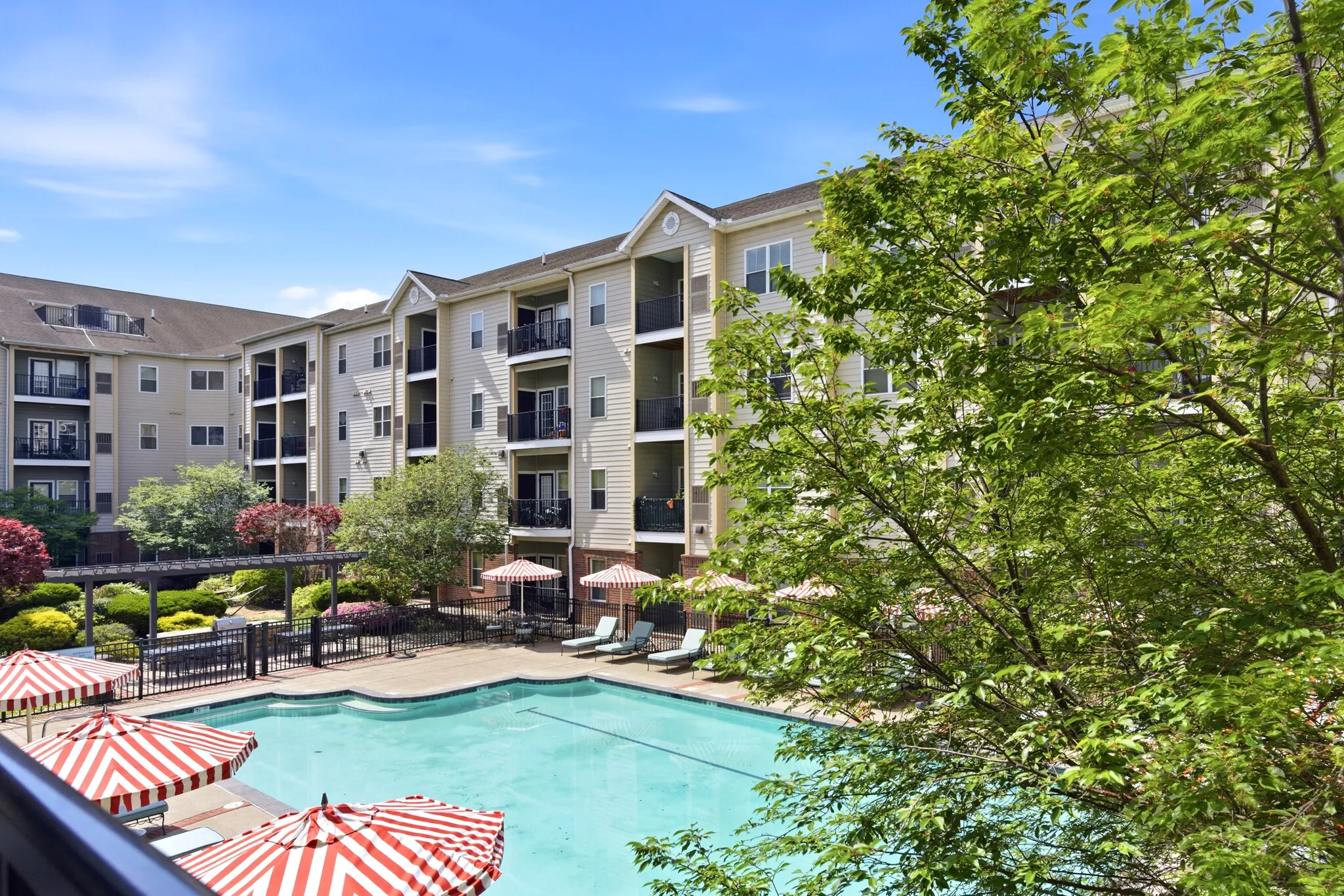 The Alexander apartments primary photo
